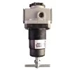 Milton 1/4 IN Npt Standard Pressure Regulator, 1113 -Tools Elegant shop sftp a s assets20200430000000276