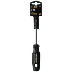 Pro-Grade T15 Torx Screwdriver, 17215