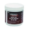 Lincoln Electric Nozzle Gel, KH507, 16 OZ